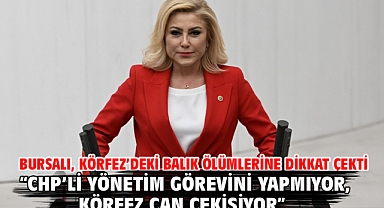Bursalı, Körfez’deki Balık Ölümlerine Dikkat Çekti “CHP’li Yönetim Görevini Yapmıyor, Körfez Can Çekişiyor”