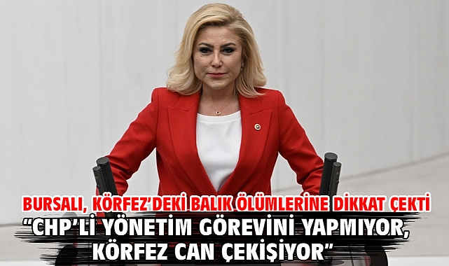 Bursalı, Körfez’deki Balık Ölümlerine Dikkat Çekti “CHP’li Yönetim Görevini Yapmıyor, Körfez Can Çekişiyor”