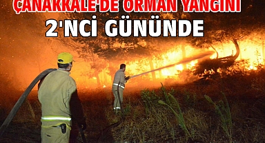 Çanakkale'de orman yangını 2'nci gününde