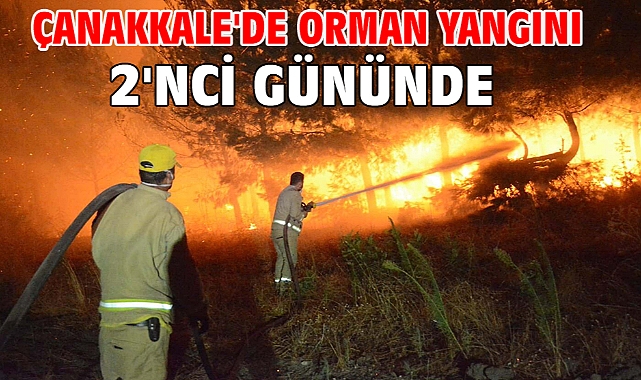 Çanakkale'de orman yangını 2'nci gününde