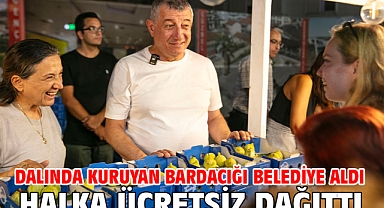 Dalında Kuruyan Bardacığı Belediye Aldı Halka Ücretsiz Dağıttı