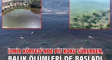 İzmir Körfezi’nde pis koku sürerken, balık ölümleri de başladı