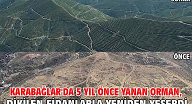 Karabağlar'da 5 yıl önce yanan orman, dikilen fidanlarla yeniden yeşerdi