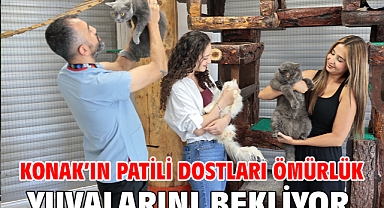 Konak’ın patili dostları ömürlük yuvalarını bekliyor