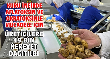 Kuru incirde aflatoksin ve okratoksinle mücadele için üreticilere 19 bin kerevet dağıtıldı