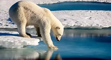 'Kutup Bölgeleri Koordinasyon Kurulu'nun kurulmasına ilişkin genelge Resmi Gazete'de