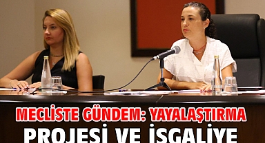 Mecliste Gündem: Yayalaştırma Projesi Ve İşgaliye
