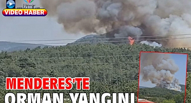 Menderes'te orman yangını
