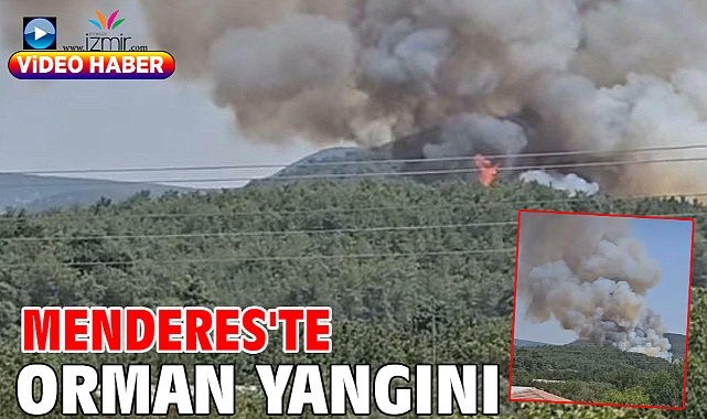 Menderes'te orman yangını