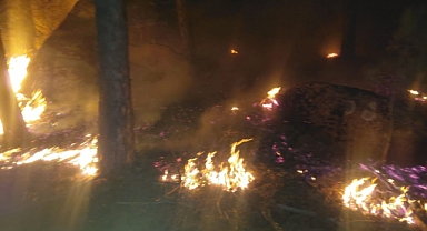 Muğla’da orman yangını