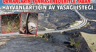 Ormanların yanması nedeniyle yaban hayvanları için av yasağı isteği