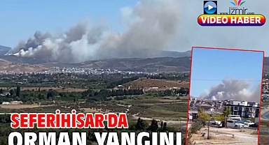 Seferihisar'da orman yangını