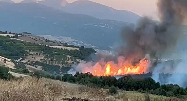 Susurluk'taki orman yangını 12 saat sonra kontrol altına alındı