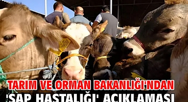 Tarım ve Orman Bakanlığı'ndan 'şap hastalığı' açıklaması