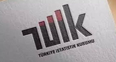 TÜİK: Aylık en yüksek reel getiri BIST 100 endeksinde oldu