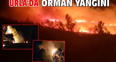 Urla'da orman yangını