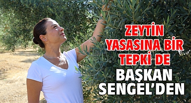 Zeytin Yasasına Bir Tepki de Başkan Sengel’den