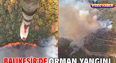 Balıkesir'de orman yangını