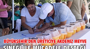 Büyükşehir'den üreticiye Akdeniz meyve sineği ile mücadele desteği