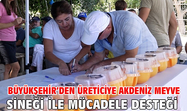 Büyükşehir'den üreticiye Akdeniz meyve sineği ile mücadele desteği