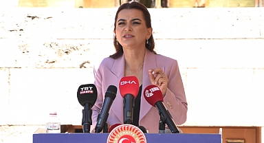 DEM Parti'li Koçyiğit: Komisyon bir an önce Ada'ya gitmeli