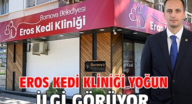 Eros Kedi Kliniği yoğun ilgi görüyor