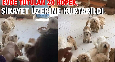 Evde tutulan 20 köpek, şikayet üzerine kurtarıldı