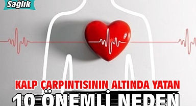 KALP ÇARPINTISININ ALTINDA YATAN 10 ÖNEMLİ NEDEN
