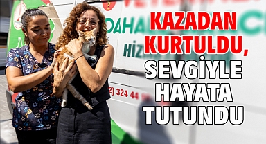 Kazadan kurtuldu, sevgiyle hayata tutundu