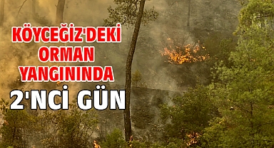 Köyceğiz'deki orman yangınında 2'nci gün