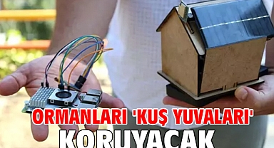 Ormanları 'kuş yuvaları' koruyacak