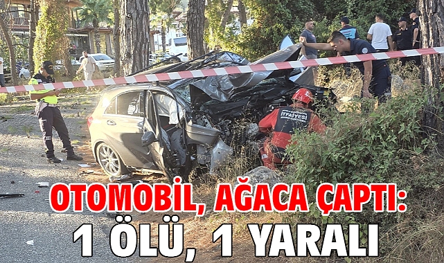 Otomobil, ağaca çaptı: 1 ölü, 1 yaralı