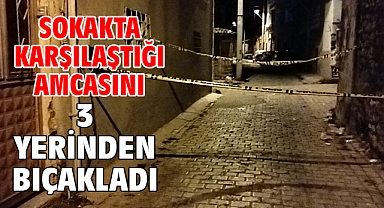 Sokakta karşılaştığı amcasını 3 yerinden bıçakladı