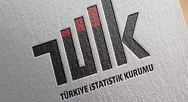 TÜİK: 2024'te 21 bin 463 mali aracı kuruluş faaliyet gösterdi