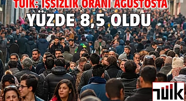 TÜİK: İşsizlik oranı ağustosta yüzde 8,5 oldu