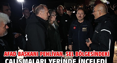 AFAD Başkanı Pehlivan, sel bölgesindeki çalışmaları yerinde inceledi