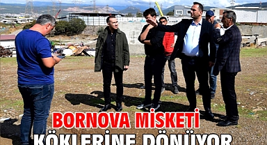 Bornova Misketi köklerine dönüyor
