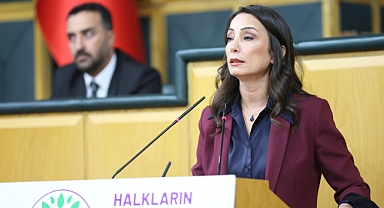 DEM Parti'li Hatimoğulları: Komisyon somut adımlara yoğunlaşmalı
