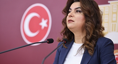 DEM Parti'li Koçyiğit: Tezkerelere 'hayır' oyu vereceğiz