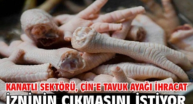 Kanatlı sektörü, Çin’e tavuk ayağı ihracat izninin çıkmasını istiyor