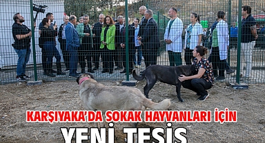 Karşıyaka’da sokak hayvanları için yeni tesis