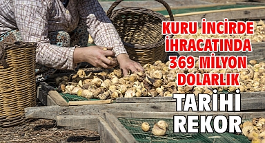 Kuru incirde ihracatında 369 milyon dolarlık tarihi rekor