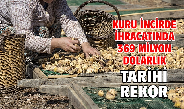 Kuru incirde ihracatında 369 milyon dolarlık tarihi rekor