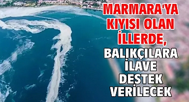 Marmara'ya kıyısı olan illerde, balıkçılara ilave destek verilecek
