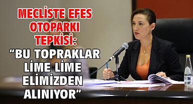 Mecliste Efes Otoparkı tepkisi: “Bu topraklar lime lime elimizden alınıyor”