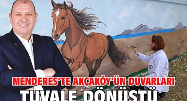 Menderes’te Akçaköy’ün duvarları tuvale dönüştü