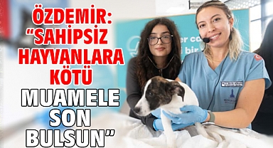 Özdemir: