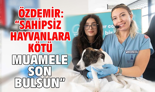 Özdemir: