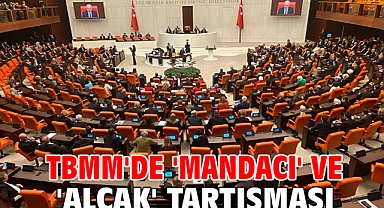 TBMM'de 'mandacı' ve 'alçak' tartışması