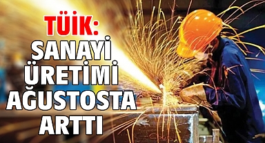 TÜİK: Sanayi üretimi ağustosta arttı